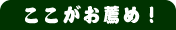 ここがお薦め